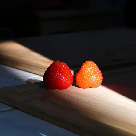 Carbonnelle Guest house Montgardon