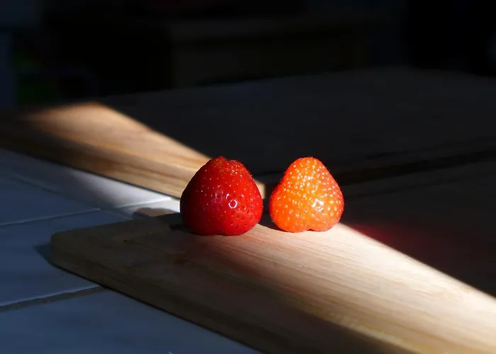 Carbonnelle Guest house Montgardon